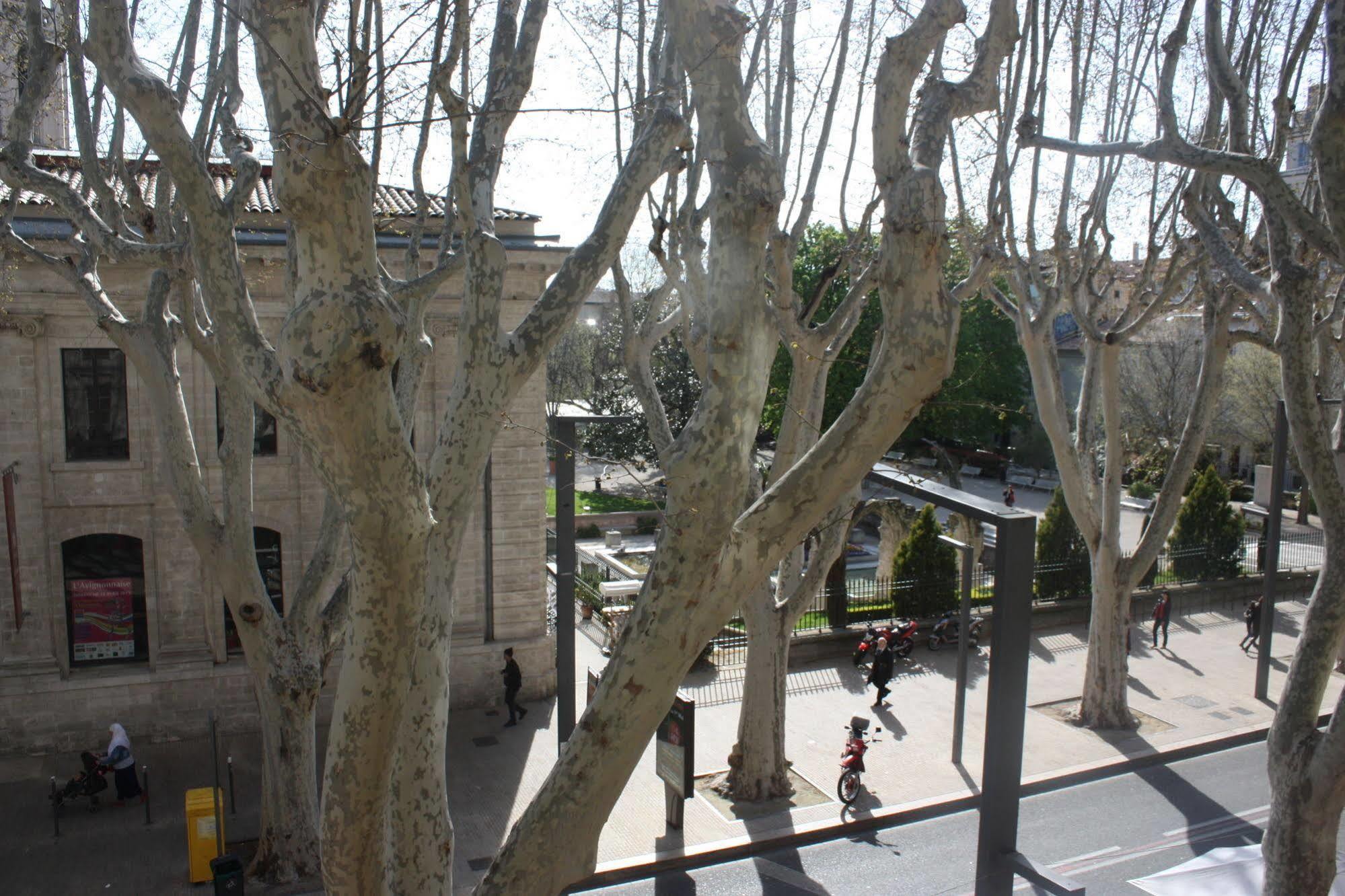 Hotel Alizea Avignon Buitenkant foto
